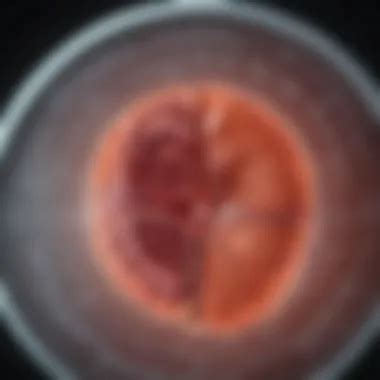 understanding ckd classification  gfr staging