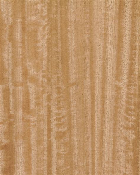 quarter cut eucalyptus