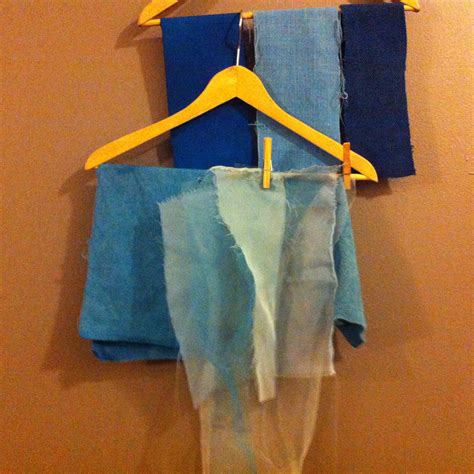 entering  world  extracts saxon blue  dogwood dyer