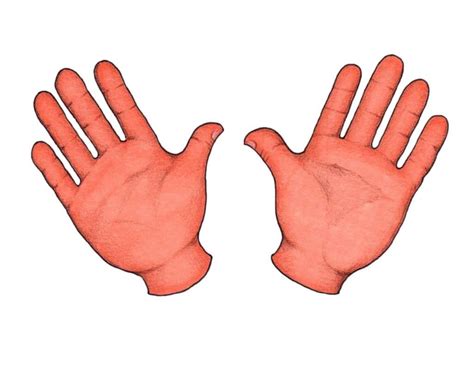 ears camilles primary ideas