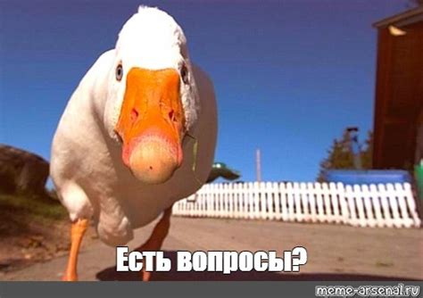 Мем: "Есть вопросы?" - Все шаблоны - Meme-arsenal.com