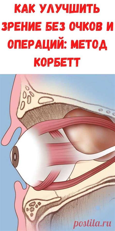 Как улучшить зрение без очков и операций: Метод Корбетт - Рецепты для ж ...