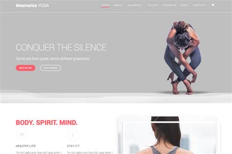 Mesmerize: it's time to craft magnetic WordPress websites