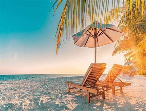 Kate Summer Holiday Plam Tree Beach Deck Chair Backdrop