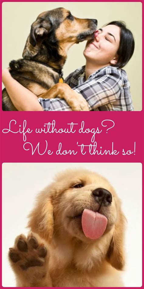 10 Reasons Why You Need Listcrawler Norfolk In Your Life Image 3