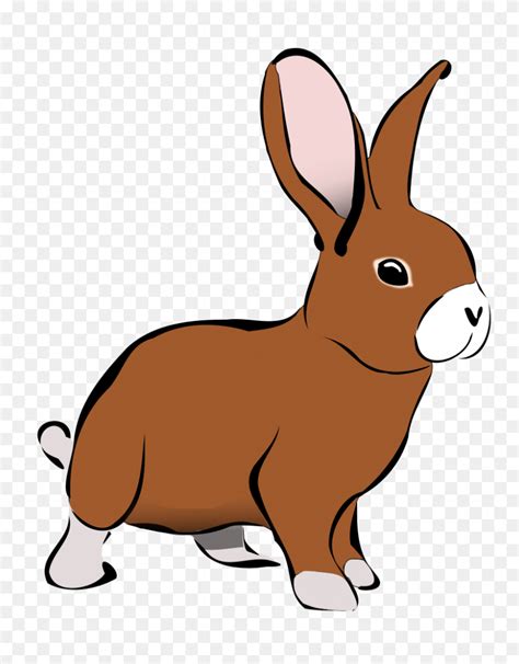 Clipart Bunny Clipart Black And White Clipart For Teachers Bunny ...