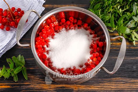 Варенье из калины красной (с косточками) — рецепт с фото пошагово