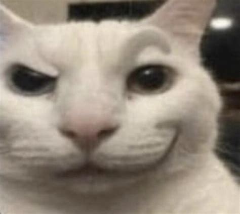 I think the devs should add rizz cat as a new chess piece, thoughts ...