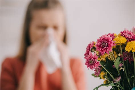 How to Ensure Your HVAC System Is Ready for the Spring Allergy Season