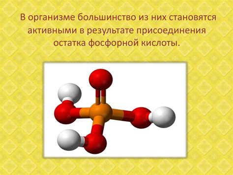 Водорастворимые витамины. 7 свойств водорастворимых витаминов ...