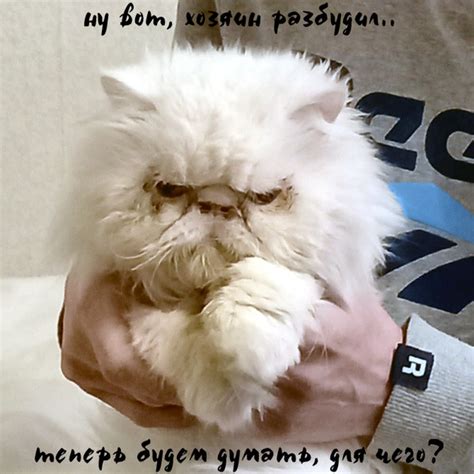 Ответы Mail: Парася и Параша- это одно и то же имя? Каково ...