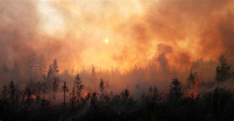 Wildfire Map Spotlight: Rattlesnake and Lynx Mountain Fires, Washington
