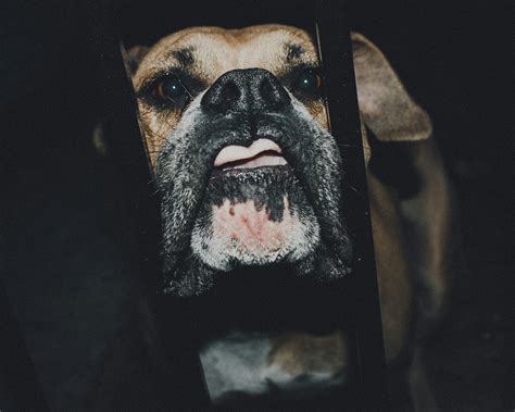 Black Teen Doggystyle Face Cam Pictures | Download Free Images on Unsplash