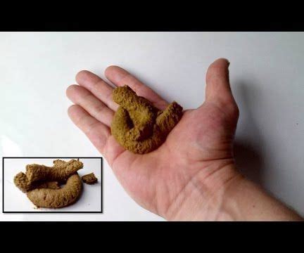 The Art Of Fecal Deception: 5 Steps To Creating Unrealistic Poop