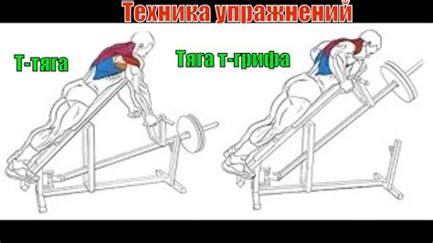 Тяга Т-грифа. Т-тяга. Упражнение для мышц спины - YouTube