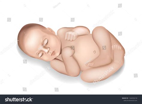 Realistic Newborn Little Baby Vector Illustration Stock Vector (Royalty ...