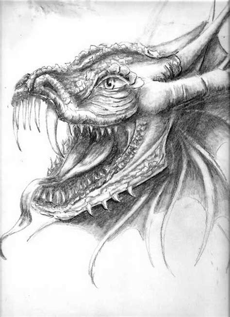 Scary Dragon Drawing at PaintingValley.com | Explore collection of ...