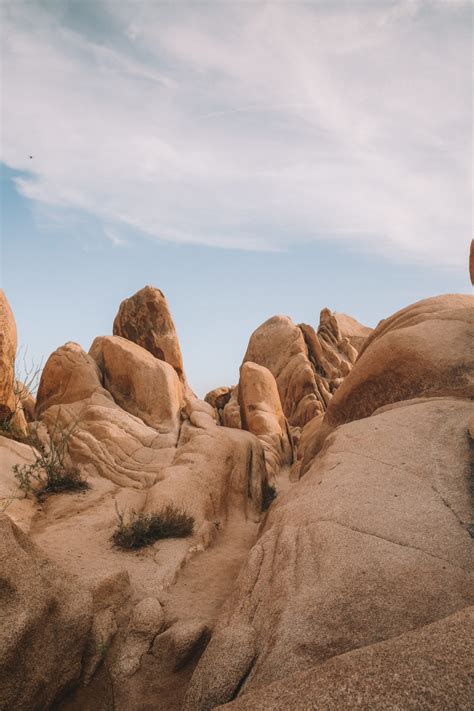 7 Places you can not miss around Joshua Tree National Park - World of