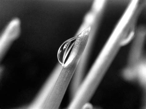 digital noise  classy examples  iso grain effect apn photography