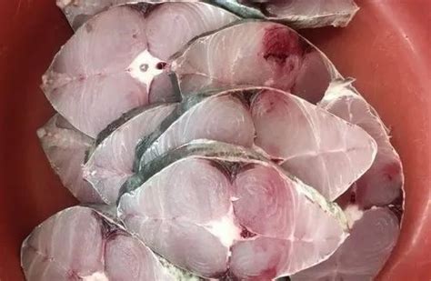 seer fish wholesale price mandi rate  surmai fish  india