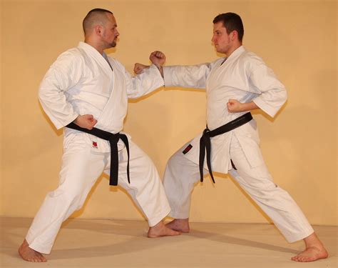 basisuebung kihon sakura budo dojo