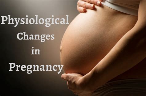 Physiological Changes in Pregnancy - Torontek