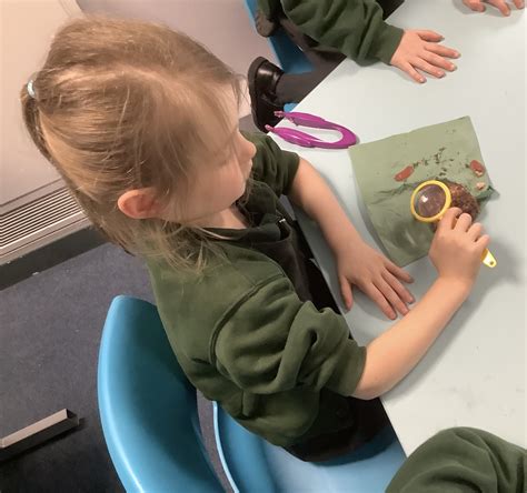 Year 1 - Experiment Using Dinosaur Poo! | Hampton Lakes Primary School