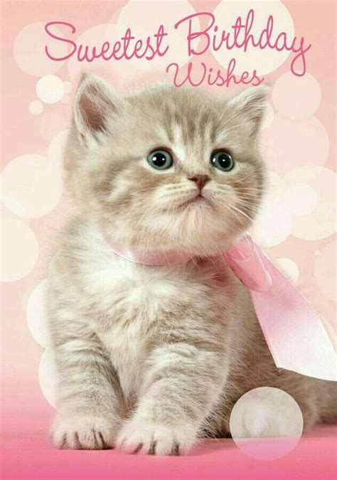 Happy Birthday Cute Kitty