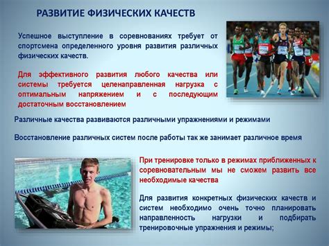 Основы спортивной подготовки и периодизация тренировочного процесса в ...