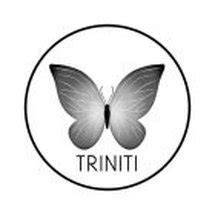 TRINITI Trademark Application of Truth in Design, Inc. - Serial Number ...