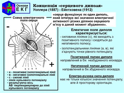 Основи електрокардіографії - презентация онлайн