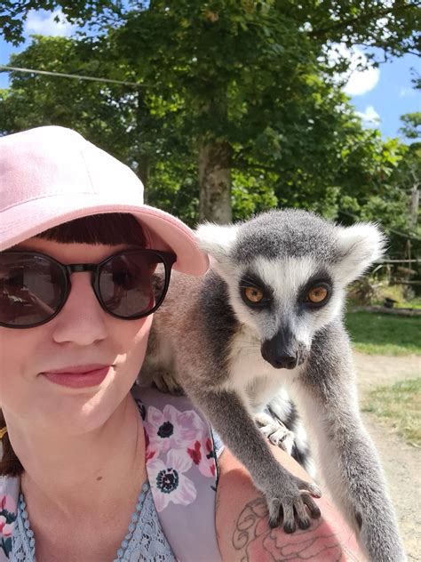 Manor Wildlife Park - The Rees Family Adventures