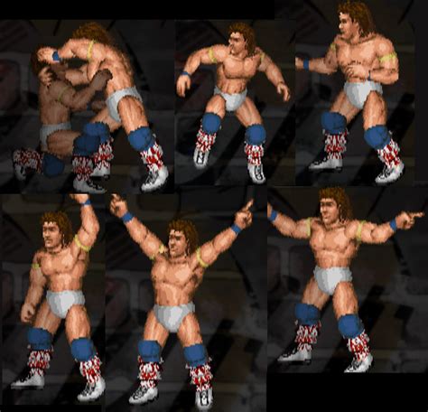 Deranged-Stu's Fire Pro Wrestling Edits: Texas Tornado