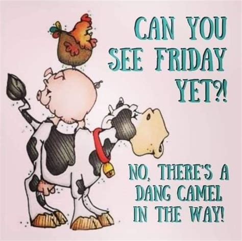 Pin by Kimberj on Sayins | Happy wednesday quotes, Funny wednesday ...
