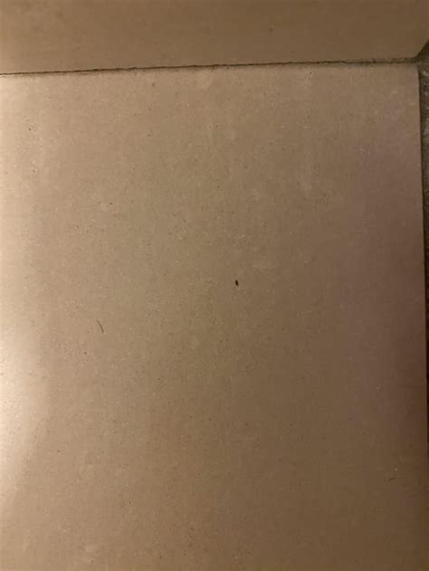 How small is baby bed bugs? : r/Bedbugs