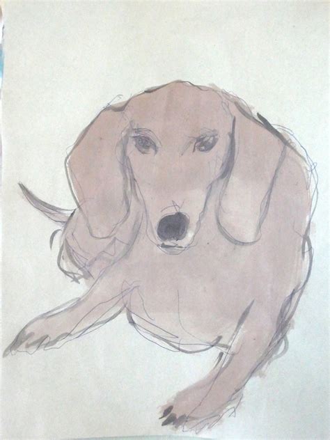 Weenie Dog Drawing at PaintingValley.com | Explore collection of Weenie