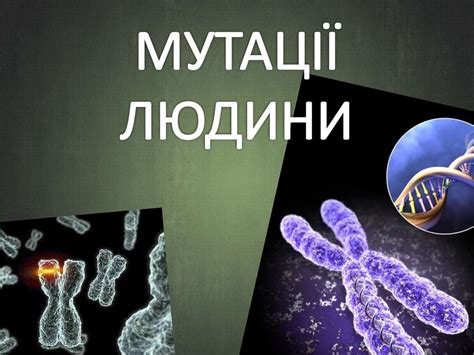 Мутації людини - презентация онлайн