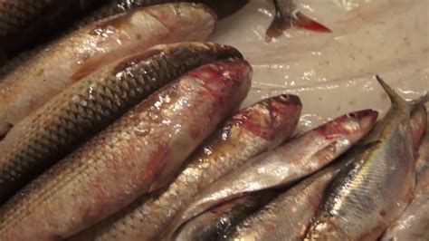 Рыба и рыбная продукция изъята и будет уничтожена.Сайт "Север Дона ...