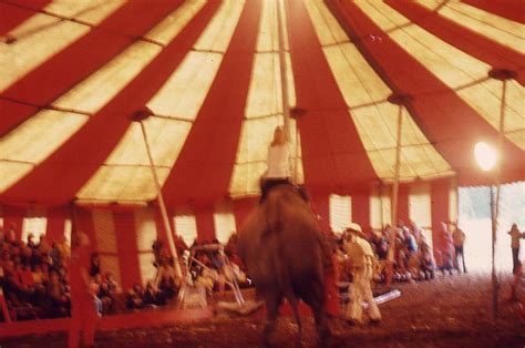 circus blog dewayne bros circus