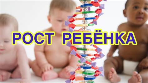 Рост ребенка. Расчет роста будущего ребенка. Генетика и рост. - YouTube