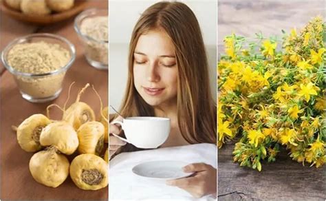 5 Best Herbal Aphrodisiacs to Increase Sex Drive Naturally