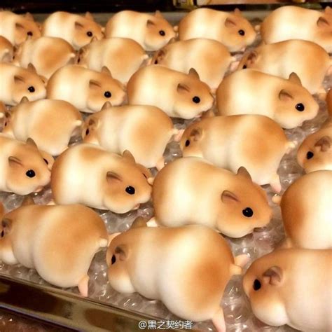 Милота: Булочки или игрушечные хомячки? - YouLoveIt.ru | Food humor ...