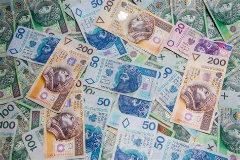 Polish zloty Jigsaw Puzzle (Other, Money) | Puzzle Garage