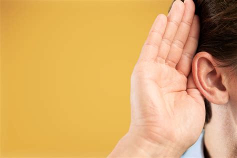 Ear anatomy - myDr.com.au