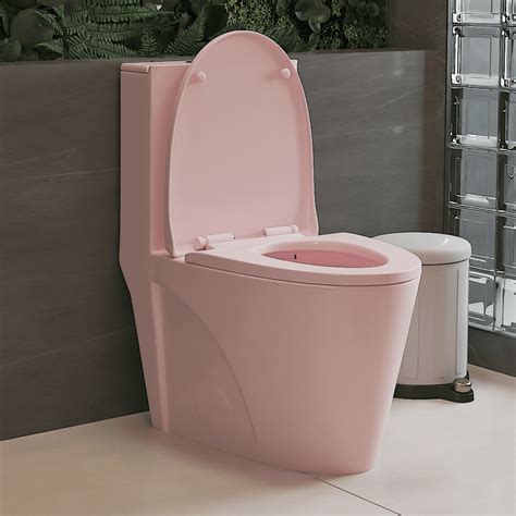 1.1/1.60 GPF Dual-Flush One Piece Toilet, Water-Saving Elongated