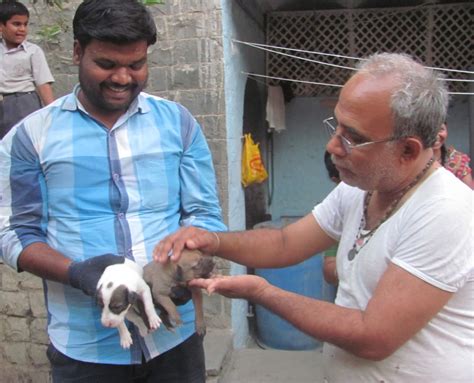 wild animal reunited with owner 7