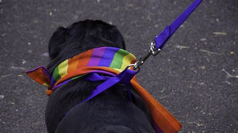 decriminalize sex  animals zoophilia pride marchers demand