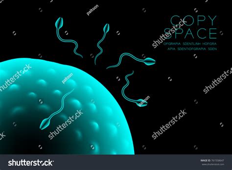 Microscope Xray Fertilization Close Horizontal Set Stock Vector ...
