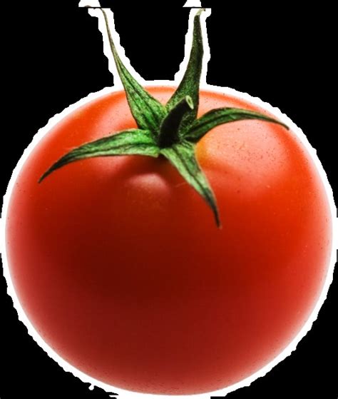 Создать мем "plum tomato, tomato, буш помидор" - Картинки - Meme ...