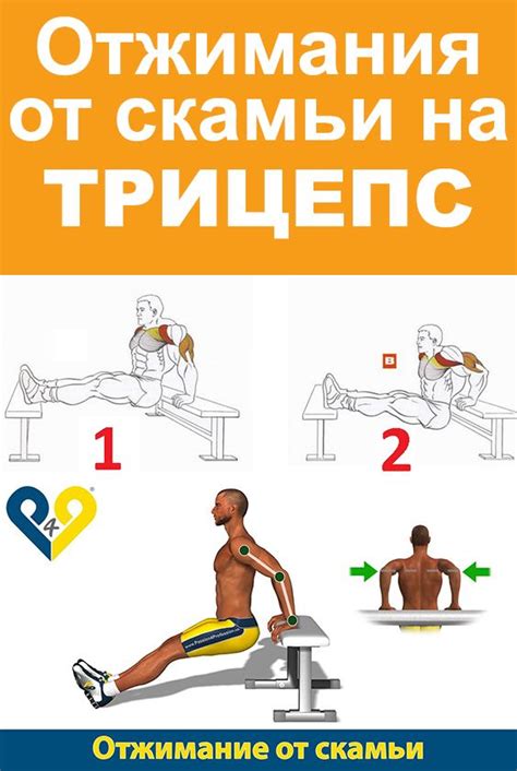 Обратные Отжимания от Скамьи на ТРИЦЕПС | Упражнения, Тренировки, Советы
